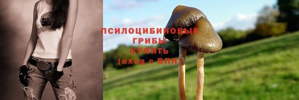 винт Беломорск