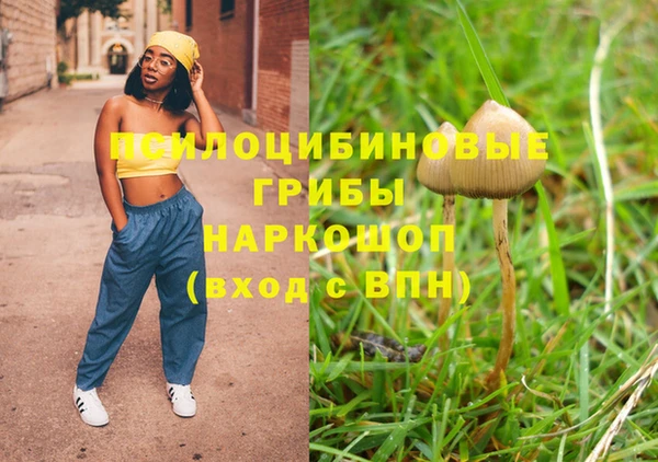 mix Бородино