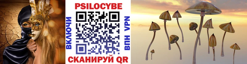 Псилоцибиновые грибы Magic Shrooms  Купить где  Можга 